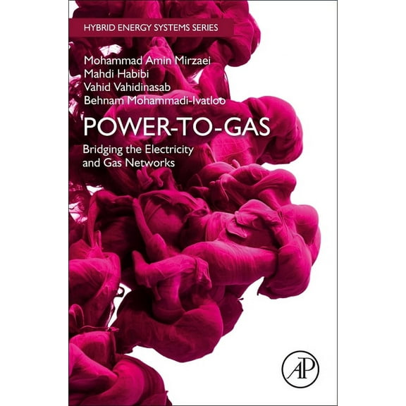 Hybrid Energy Systems Power-To-Gas: Bridging the Electricity and Gas Networks, (Paperback)