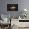 thumbnail image 6 of Luxe Metal Art 'Clown Fish on Black' by Durwood Coffey, Metal Wall Art, 24"x16", 6 of 8