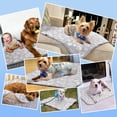 thumbnail image 6 of Aship Dog Cooling Mat , 18'' x 24'' Self-Cooling Mat for Dog Cat, Cooling Fiber & Endothermic Color Changing Cooling Pad for Hot Summer, 6 of 8