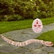 thumbnail image 3 of Juguete de Serpiente RC Perfecl Control Remoto Naranja, 3 of 5