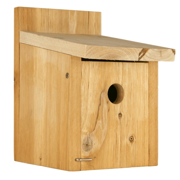 Nature's Way Cedar Box Wren House avec Porte de Nettoyage, Wild Bird House et Déco Extérieure D&Atilde;&copy;cor, Brun