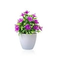 thumbnail image 2 of Toystoory Plantas artificiales, plantas, flores, bonsái, maceta falsa de plástico, jardín, hogar, escritorio, sala de estar, ventana, patio, accesorios Flores artificiales Rojo púrpura Toystoory HA084016-03, 2 of 6