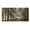 A1, variant on Forest Canvas Wall Art Living Room Wall Decor Large Nature Unframed Pictures Canvas Artwork Contemporary Wall Art Modern Landscape Foggy Sunshine for Kitchen Office Home Decoration