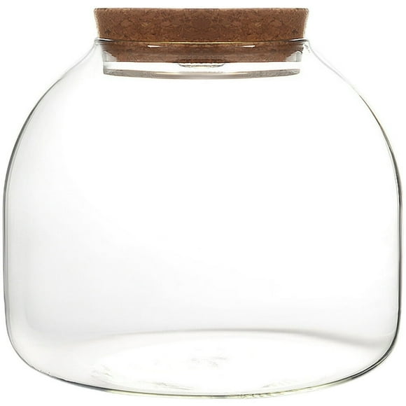 LNGOOR Glass Terrarium Jar with Wood Stopper Micro Landscape Container Hydroponic Plants Terrarium