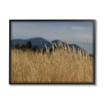 Stupell Industries Wheat Field Landscape Nature Photography Black Framed Art Print Wall Art, 14 x 11