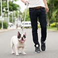 thumbnail image 6 of Downtown Pet Supply Long Lead Leash for Dog Training, Light Gray, 50' Dog Leash, 6 of 6