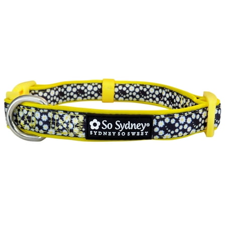 Crazy Daisy Yellow - Designer Cute Matching Dog Collar and Leash - Blooming Florals Collection