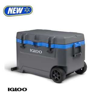 RovR Products RollR 60 (POWDER) - Walmart.com