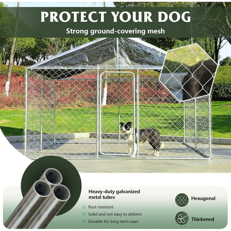 Dog Man An Elephant and piggie 64GBマイヤペン Chimpanzee Monkey & Bulldog Dog Set Mr Z - Machinegun