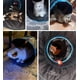 thumbnail image 2 of Túnel para Gatos Pawaboo en Forma de S 25x97 cm con Pelotas Azul, 2 of 7