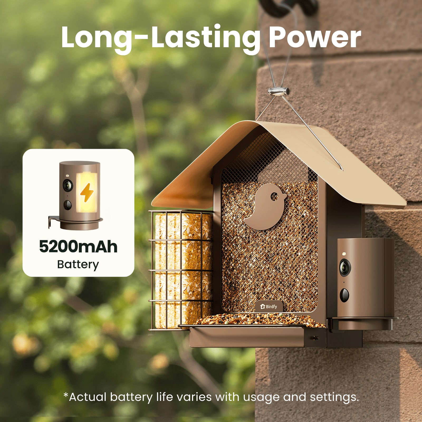 Birdfy Smart Bird Feeder with Camera, 1080P HD 60FPS Video, AI Bird Identification Lifetime Free, Night Vision, Metal Bird Feeder, Gift for Bird Lovers, Metal V AI