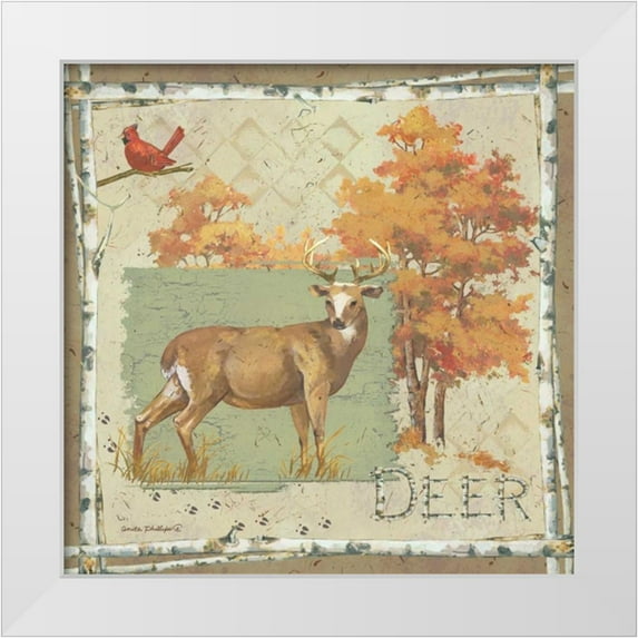 Phillips, Anita 20x20 White Modern Wood Framed Museum Art Print Titled - Deer