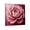 Flower, variant on FLOPESN DIY Pearl Painting with Frame,Self-Adhesive, Healing, Stress-Relieving Home Wall Decoration, Painting with Colored Canvas Frame Tools-Rose
