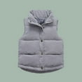 thumbnail image 4 of Staki Toddler Boys Sleeveless Puffer Coat Boys Puffer Vest Kids Stand Collar Quilted Gilet Sleeveless Jackets Outwear with Pockets(Gray,2-3 Years), 4 of 6