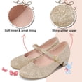 thumbnail image 2 of HOMEHOT Girls Mary Jane Shoes Casual Princess Ballerina Dress Shoes Low Heels Slip on Flat Shoes for School Party Wedding Glitter Gold Size 1, 2 of 6