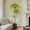 5FT(with 50 LED light), variant on Artificial Plants Indoor, 5FT/6FT Fake Black Olive Tree with 50 LED Lights Tall Fake Plants in Plastic Nursery Pot Fake Tree Artificial Trees for Home Decor Office Living Room