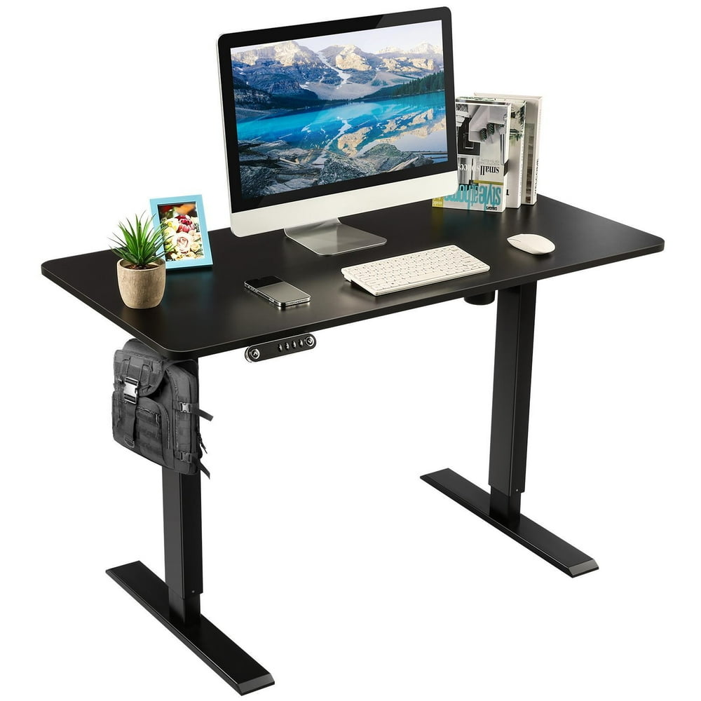 48'' x 24'' Office Desk, Height Adjustable Desk Electric Standing Desk