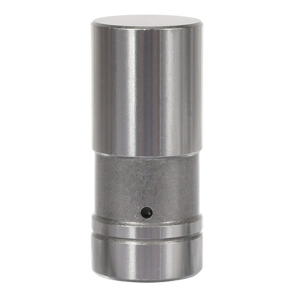 ECCPP 16X Automotive Engine Hydraulic Valve Lifter for 1963 for 300 1966-1968 1982-1987 for Bronco 1981-1987 1989 for B700 1981-1987 1989 for B700 Lash Adjusters JB-900