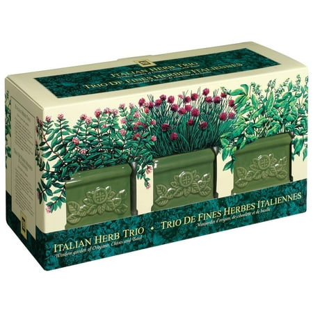Garden At Home - Italian Herb Trio