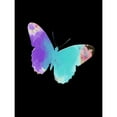 thumbnail image 3 of Lewis, Sheldon 15x18 Black Modern Framed Museum Art Print Titled - Watercolor Butterfly, 3 of 5