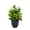 C, variant on Tuscom Artificial Small Potted Plants, Plastic Fake Foliage for Home Decor Indoor, Faux Greenery for Bathroom Office Shelf Table Decoration