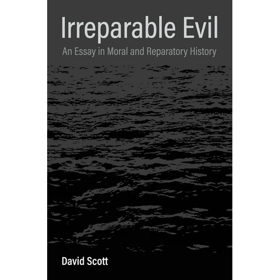 Irreparable Evil: An Essay in Moral and Reparatory History, (Hardcover)