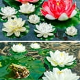 thumbnail image 3 of Duslogis 12 Pcs Artificial Floating Pool Flowers,4in Fake Water Lily Pads Flowers, Lotus Flower Floating Pool Decorations, White, 3 of 7