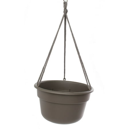 UPC 811214020056 product image for Bloem Dura Cotta Self Watering Hanging Basket Planter 12  Peppercorn | upcitemdb.com