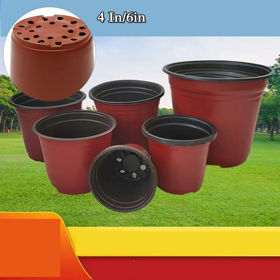 Containers Containing 4-inch /6 In Plant Flowerpot Seeds, with Labels.