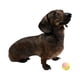 thumbnail image 2 of Pelotas de tenis Midlee X-Small Dog, 12 unidades, 3,8 cm de diámetro, 2 of 4