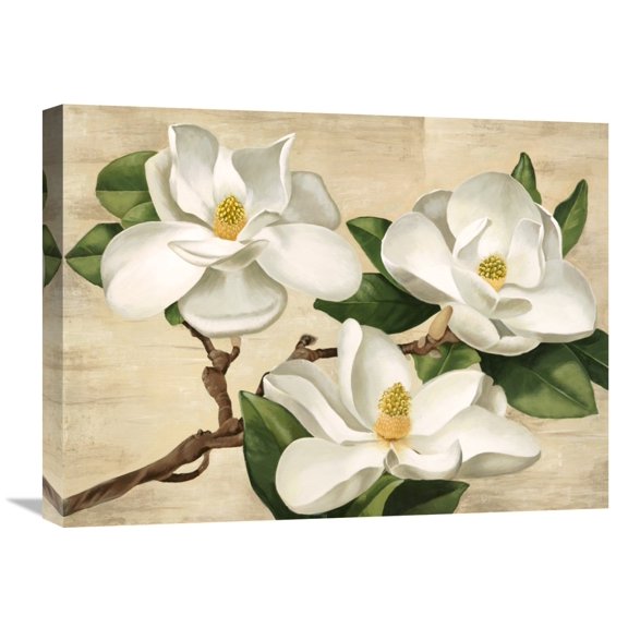 Global Gallery Serena Biffi,'Magnolie Bianche' Stretched Canvas Artwork