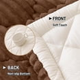 thumbnail image 3 of Couch Cover for Dogs Washable, Non Slip Fuzzy Pet Couch Covers，Sofa Pet Friendly, Thick Soft Sofa Slipcovers Cushion Protector,Brown 27.6" x 47", 3 of 10