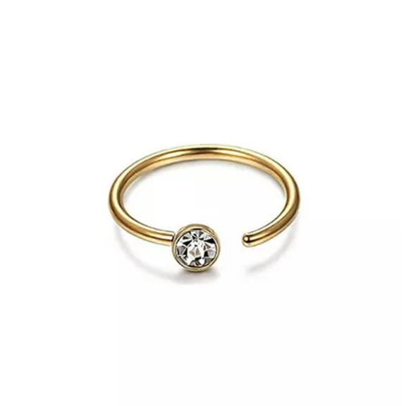 EOEMY Surgical Steel Nose Ring Septum Clicker Hinge Segment Ear Helix Tragus Ring Hoop-N-8mm