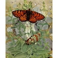 thumbnail image 2 of Paul-Andre Robert 15x18 Gold Ornate Wood Frame and Double Matted Museum Art Print Titled - The Orange Melitee (1934), 2 of 4