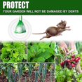 thumbnail image 2 of Keep Mice Out For Home Kitchen Farms Storehouse, Peppermint Oil For Mice And Vole Mouse Squirrel, 2 of 5