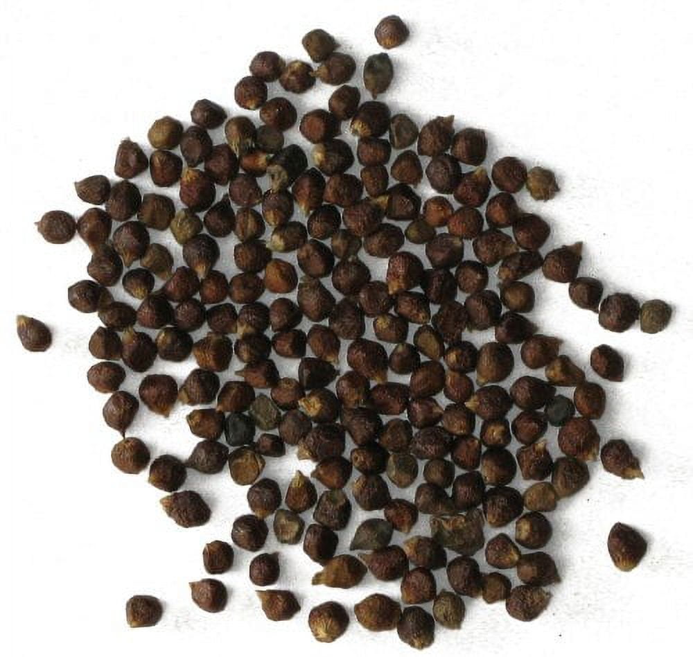 Grains of Paradise / Alligator Pepper - 8 oz. ( 0.5 lbs. ) - resealable stand up pouch bag with oval window