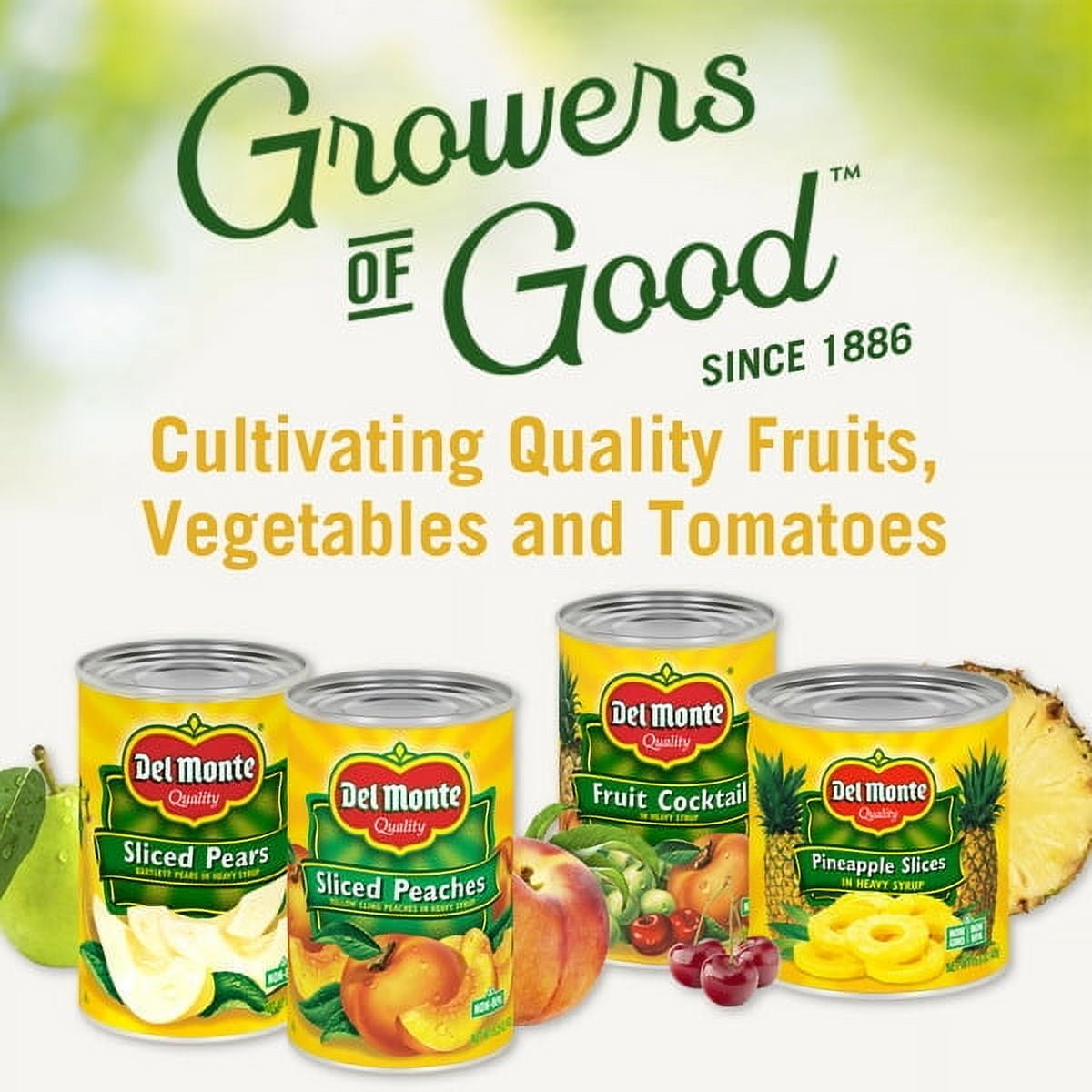 Del Monte Pear Halves in 100% Juice Canned Fruit 15 oz (Pack of 6)