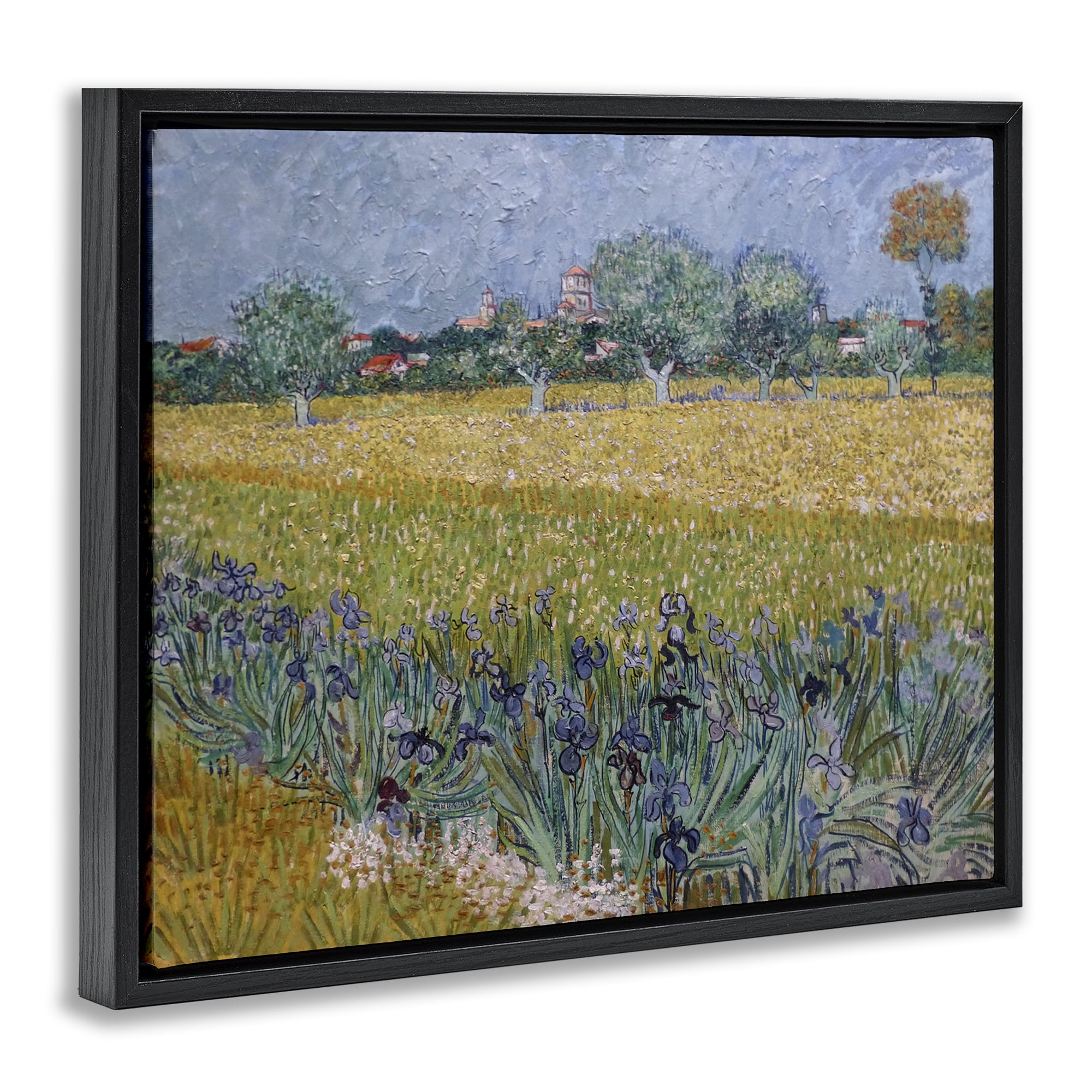 Stupell Industries Van Gogh View of Arles Landscape & Nature Painting Black Floater Framed Canvas Art Print Wall Art, 31 x 25