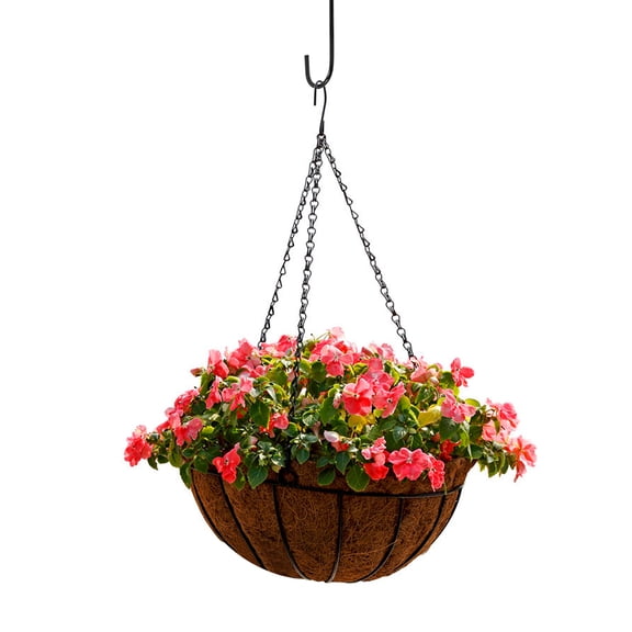 FENGGUIQU 6-Pack Hanging S Hooks for Plants, Outdoor Balcony, Garden, Heavy Duty Metal Plant Hanger Hooks