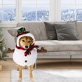 thumbnail image 4 of EUDIDV Spooky Ornaments Christmas Pet Costumes Christmas Snowman Halloween Day Costumes Spooky Transformation Dog Clothes Cats Pet Costumes Creepy Props, 4 of 5