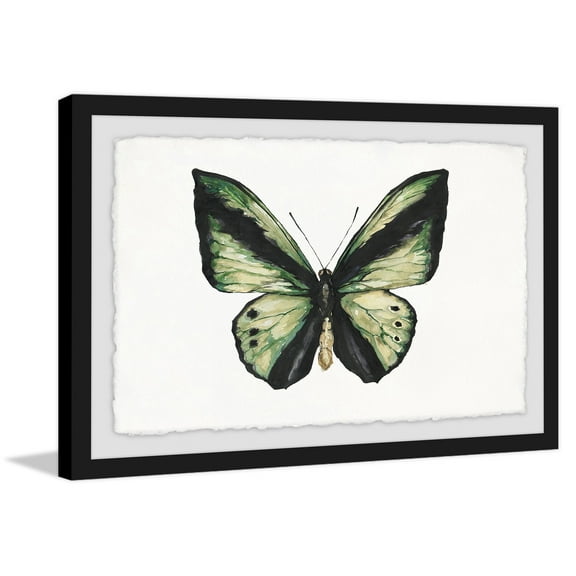 Hunter Green Butterfly Framed Painting Print