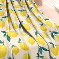 thumbnail image 3 of Lemon Blanket,Comfortable Soft Flannel Throw Blanket,All Season,Warm Lightweight Blankets for Sofa Bed Couch Living Room Chair,40"x50"(100x130cm), 3 of 4