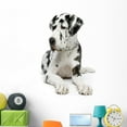 thumbnail image 1 of Great Dane Wall Decal by Wallmonkeys Peel and Stick Graphic (48 in H x 31 in W) WM149671, 1 of 4