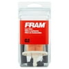 FRAM Fuel Filter, G2