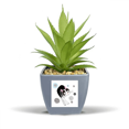 thumbnail image 1 of Pot de Fleurs Ananas Mignon Fin Chat Animal Mini Décor, 1 of 3