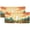 Pattern-3, variant on Cactus Thermal Insulated Window Curtain Valance Watercolor Tropical Succulent Botanical Wildflowers Rod Pocket Valances for Bedroom Living Room Dining Room 54 by 18 in, 2 Panel