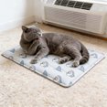 thumbnail image 3 of Dinosaur Watermelon Mat 30x40cm Soft Ice Pad For Small Cats Portable Cool Bed, 3 of 3