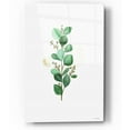 thumbnail image 1 of Epic Art 'Eucalyptus II' by Seven Trees Design, Acrylic Glass Wall Art, 12"x16", 1 of 2