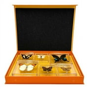 The Nature Collections (Butterflies Set 3)