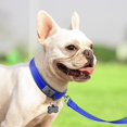 thumbnail image 3 of HAHDAXIA Neoprene Padded Dog Collar for Small Dogs, 11 Colors, Reflective Wide Pet Collar with Durable Metal Belt Buckle, Adjustable Heavy Duty Nylon Dogs Collars, Navy Blue, 3 of 6